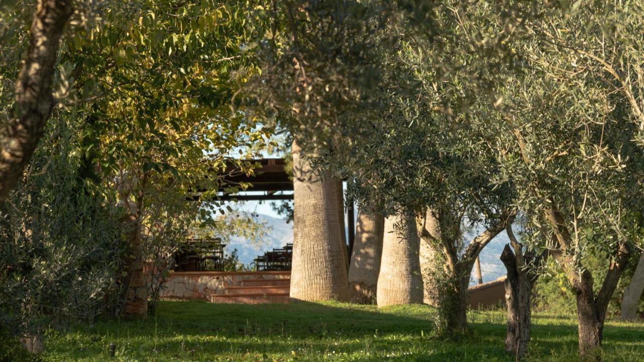 Son Miranda - La Organic Farm stay